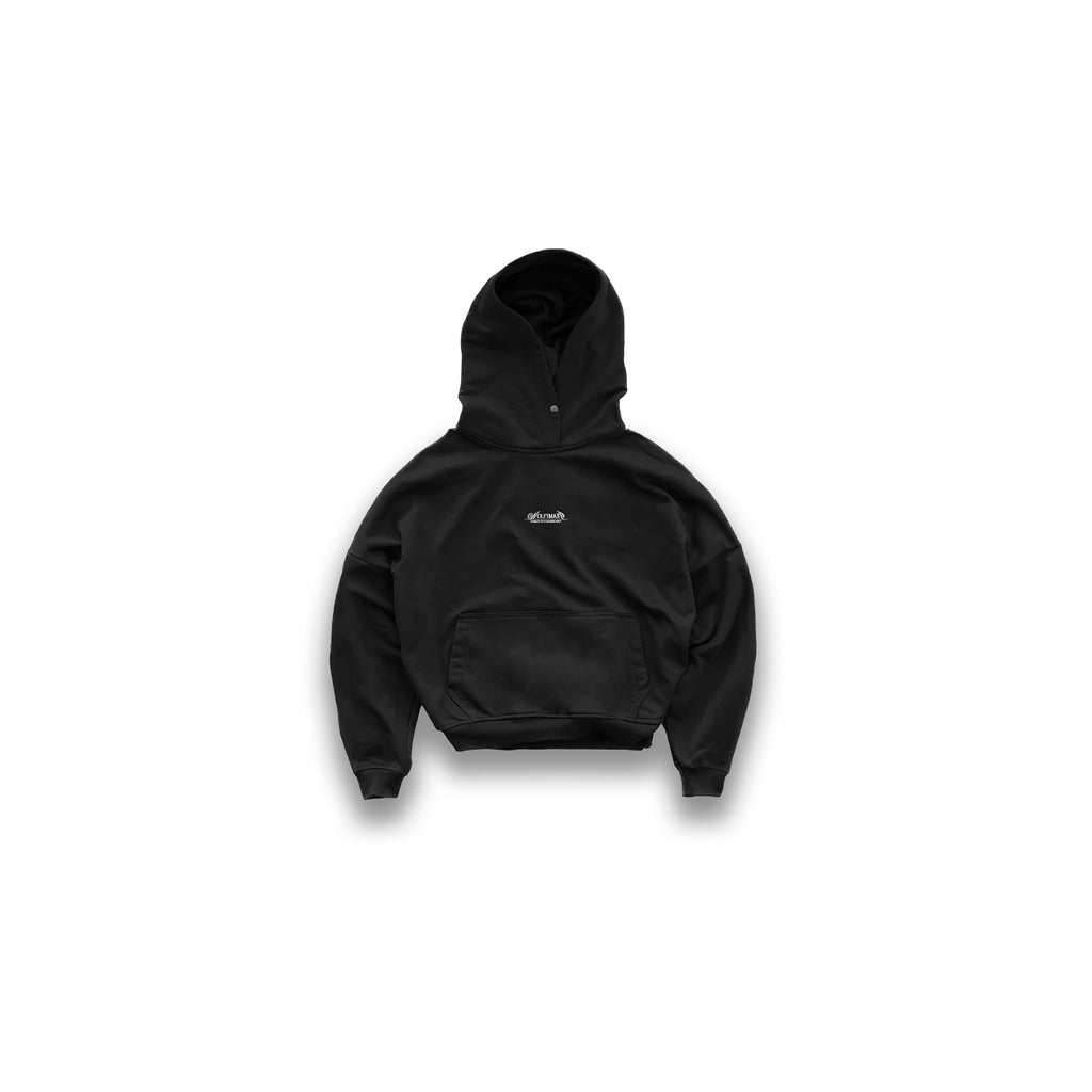 LOGO HOODIE - PURSUIT OF A HIGHER SELF